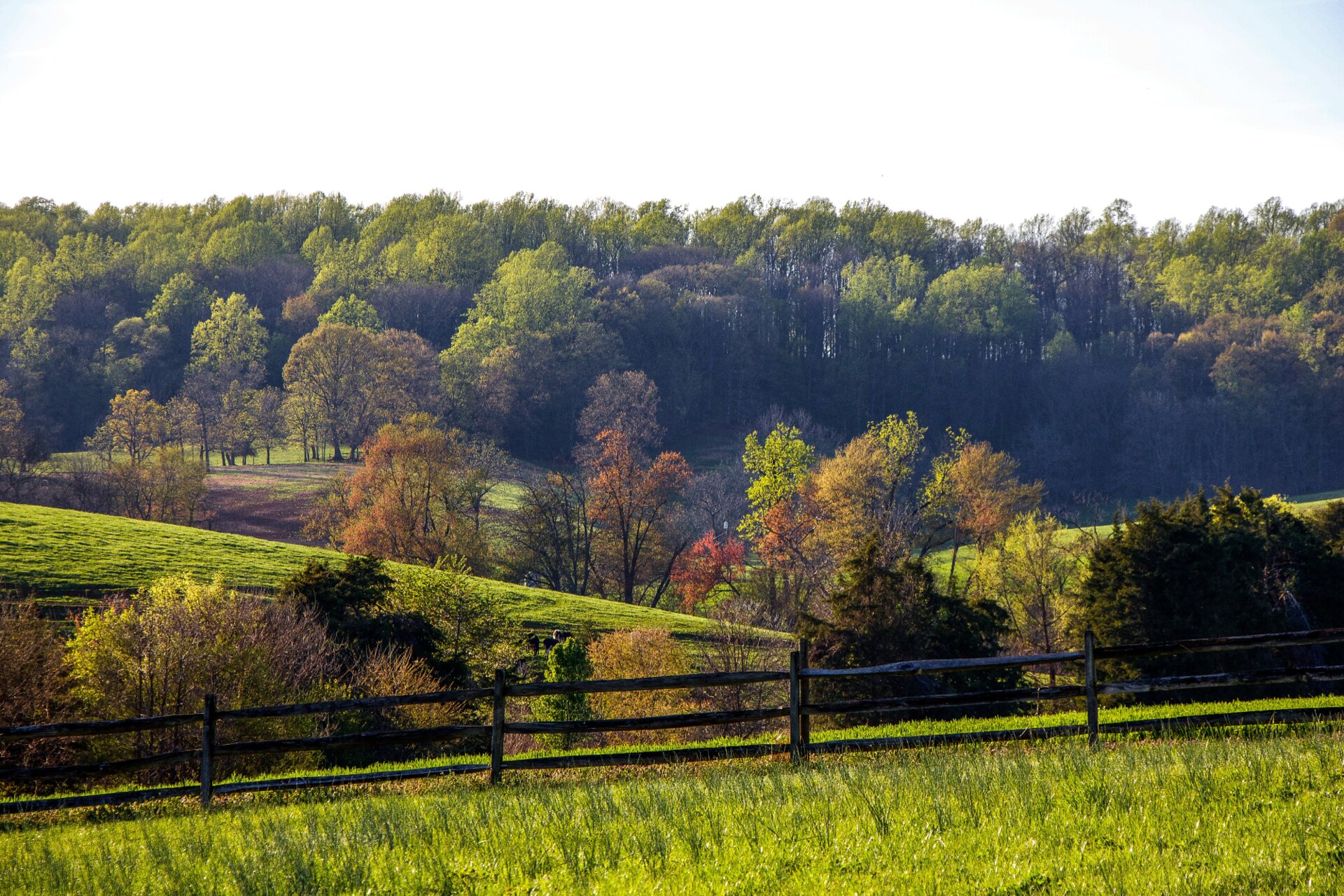 Orange County, Virginia